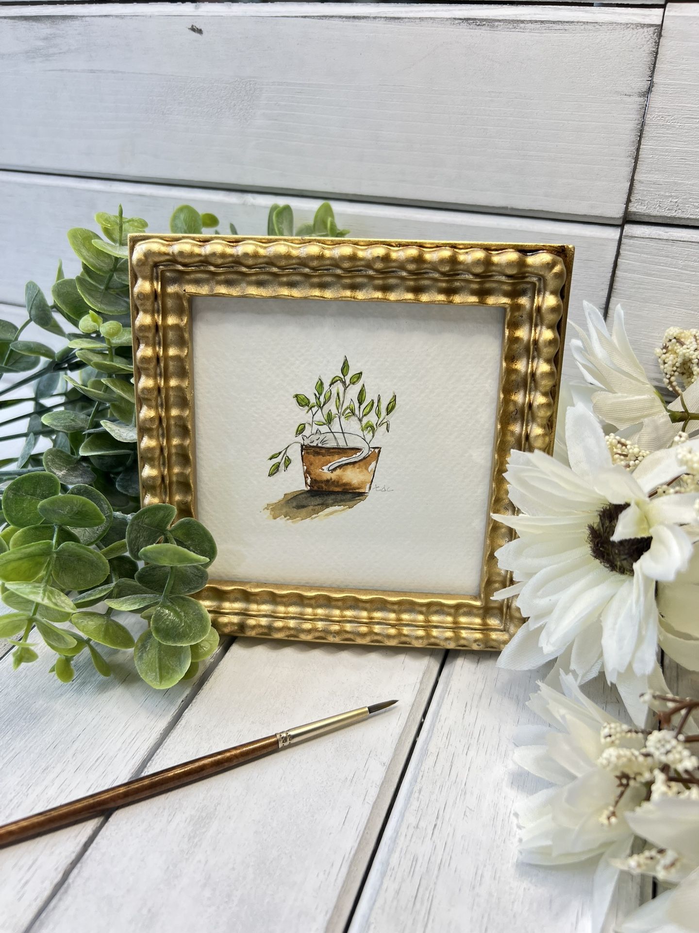 "Cat Napping in House Plant" - Original Watercolor Framed Art