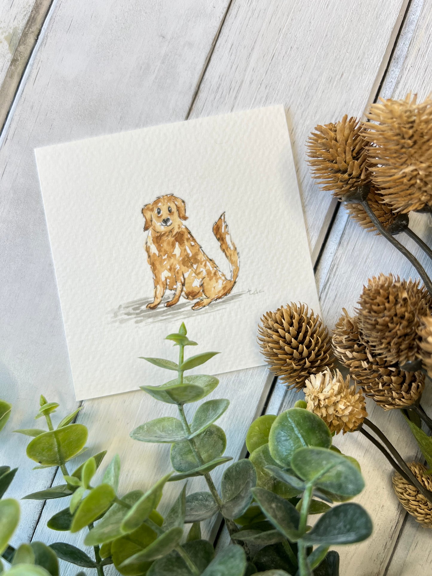 "Golden Retriever" - Original Watercolor Framed Art