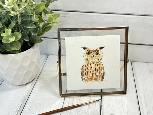 "Owl" - Original Watercolor Framed Art
