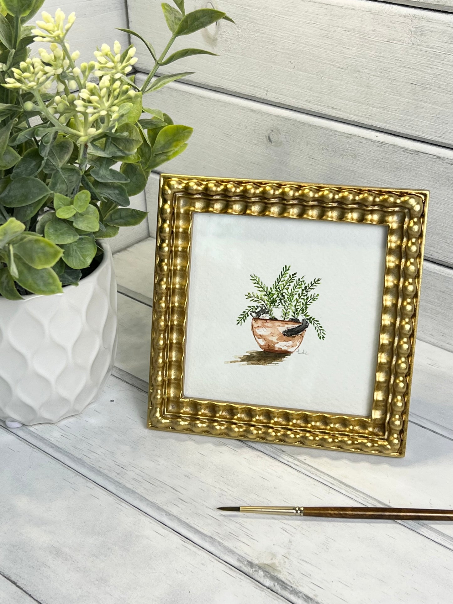 "Cat Napping in Fern" - Original Watercolor Framed Art
