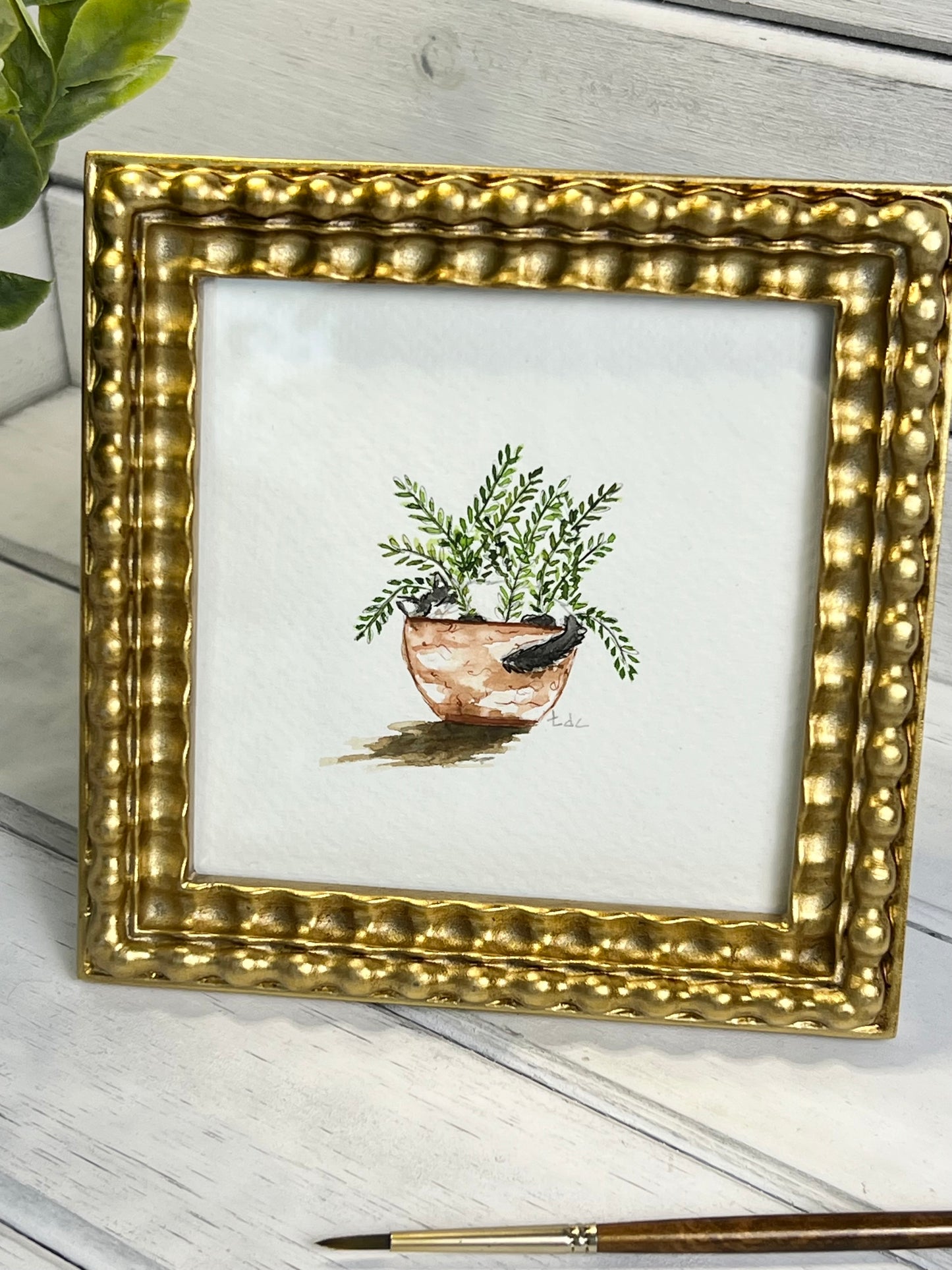 "Cat Napping in Fern" - Original Watercolor Framed Art