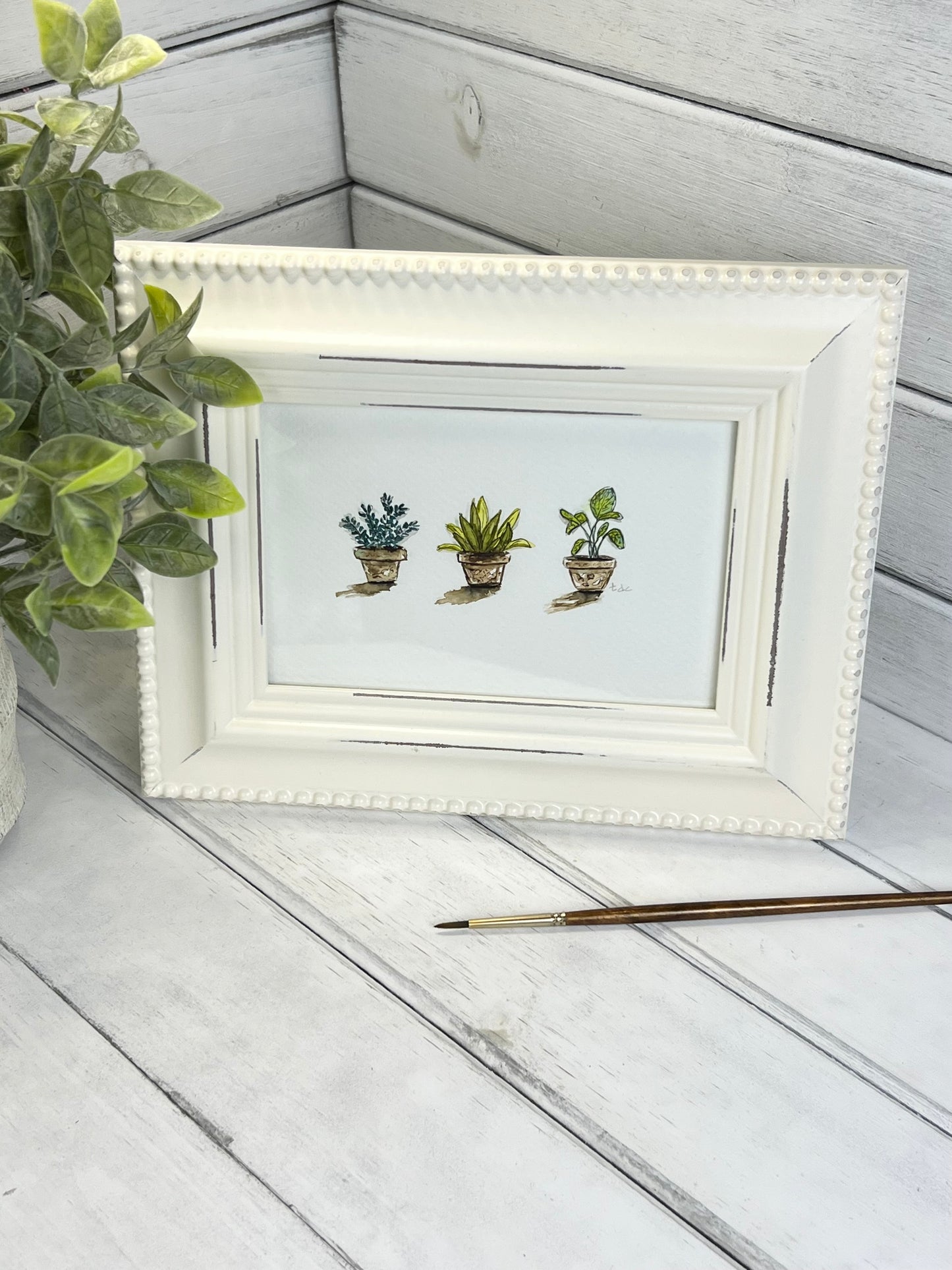 "Three House Plants" - Original Watercolor Framed Art
