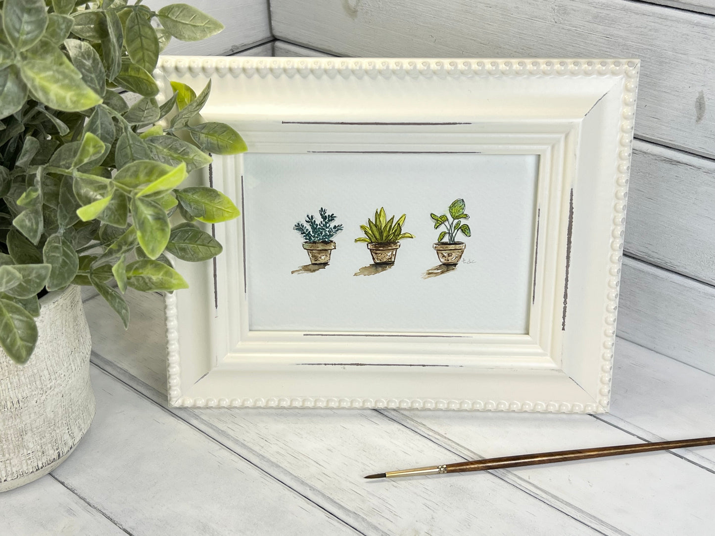"Three House Plants" - Original Watercolor Framed Art