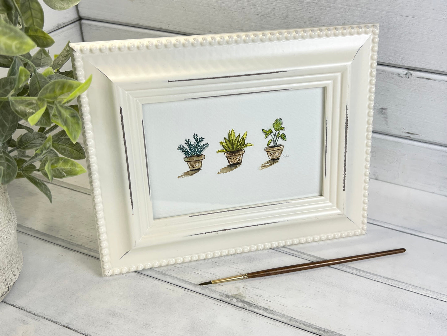 "Three House Plants" - Original Watercolor Framed Art