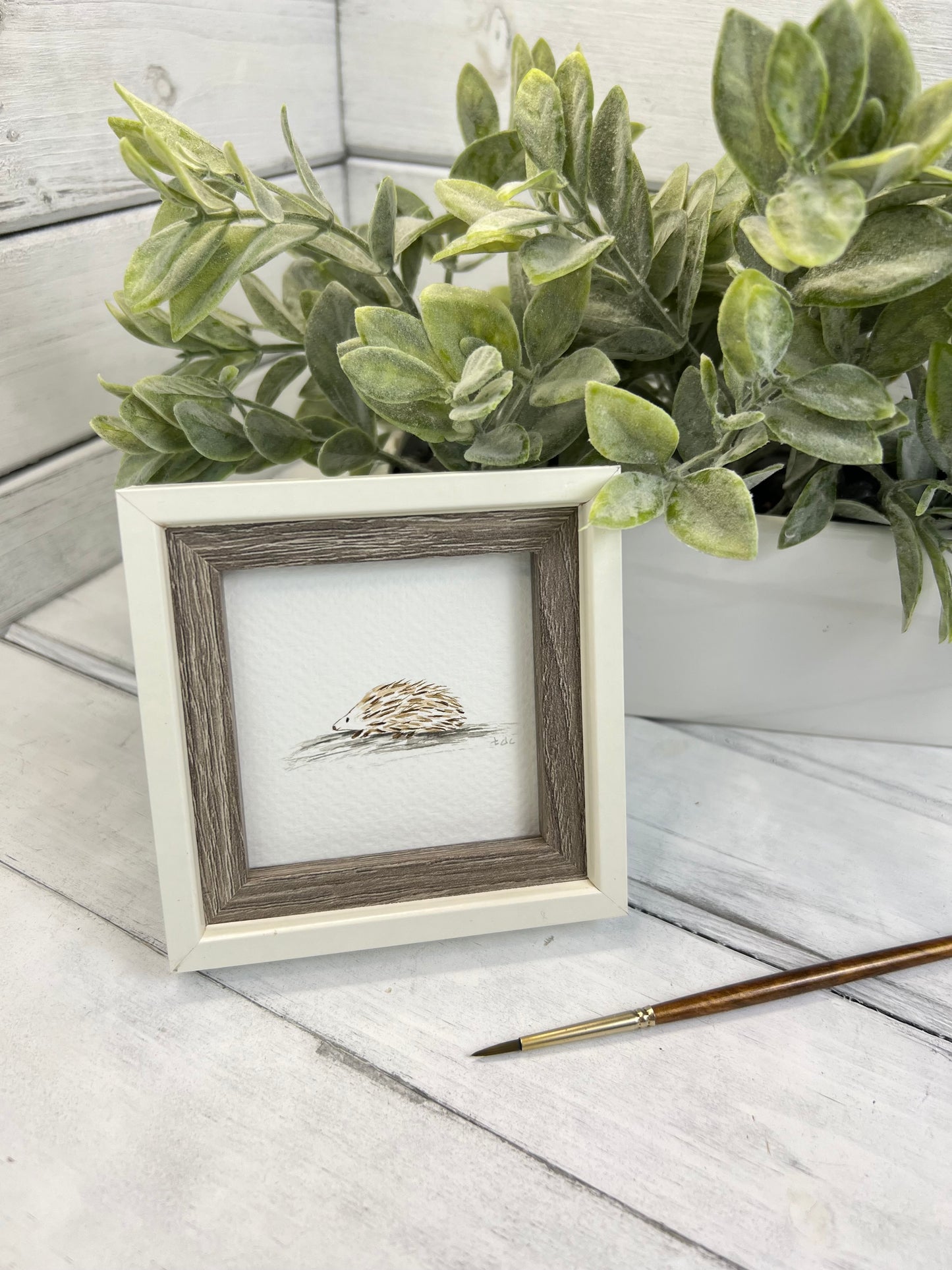 "Hedgehog" - Original Watercolor Framed Art