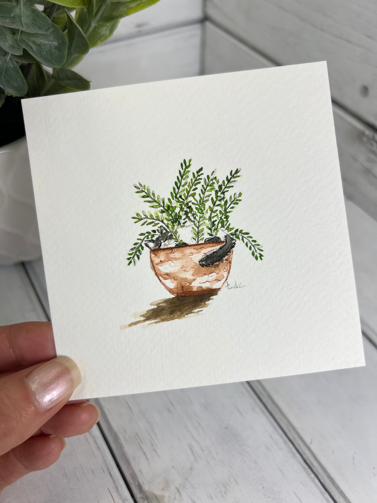 "Cat Napping in Fern" - Original Watercolor Framed Art
