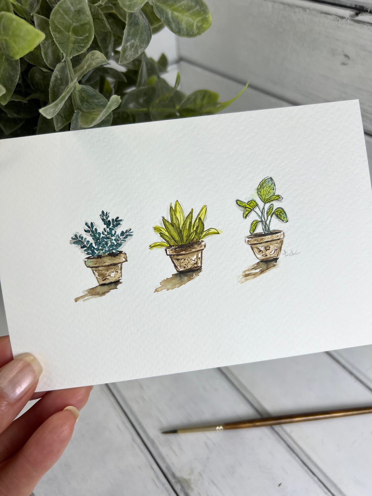 "Three House Plants" - Original Watercolor Framed Art