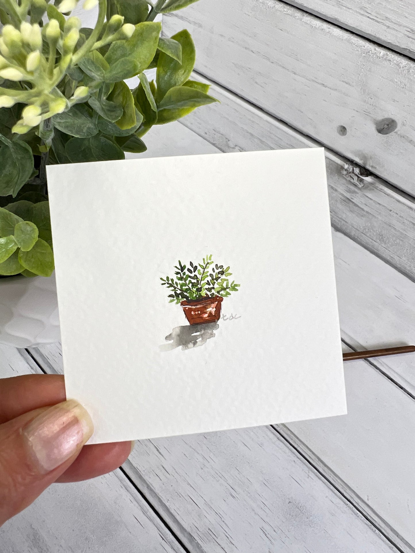 "Mini House Plant" - Original Watercolor Framed Art