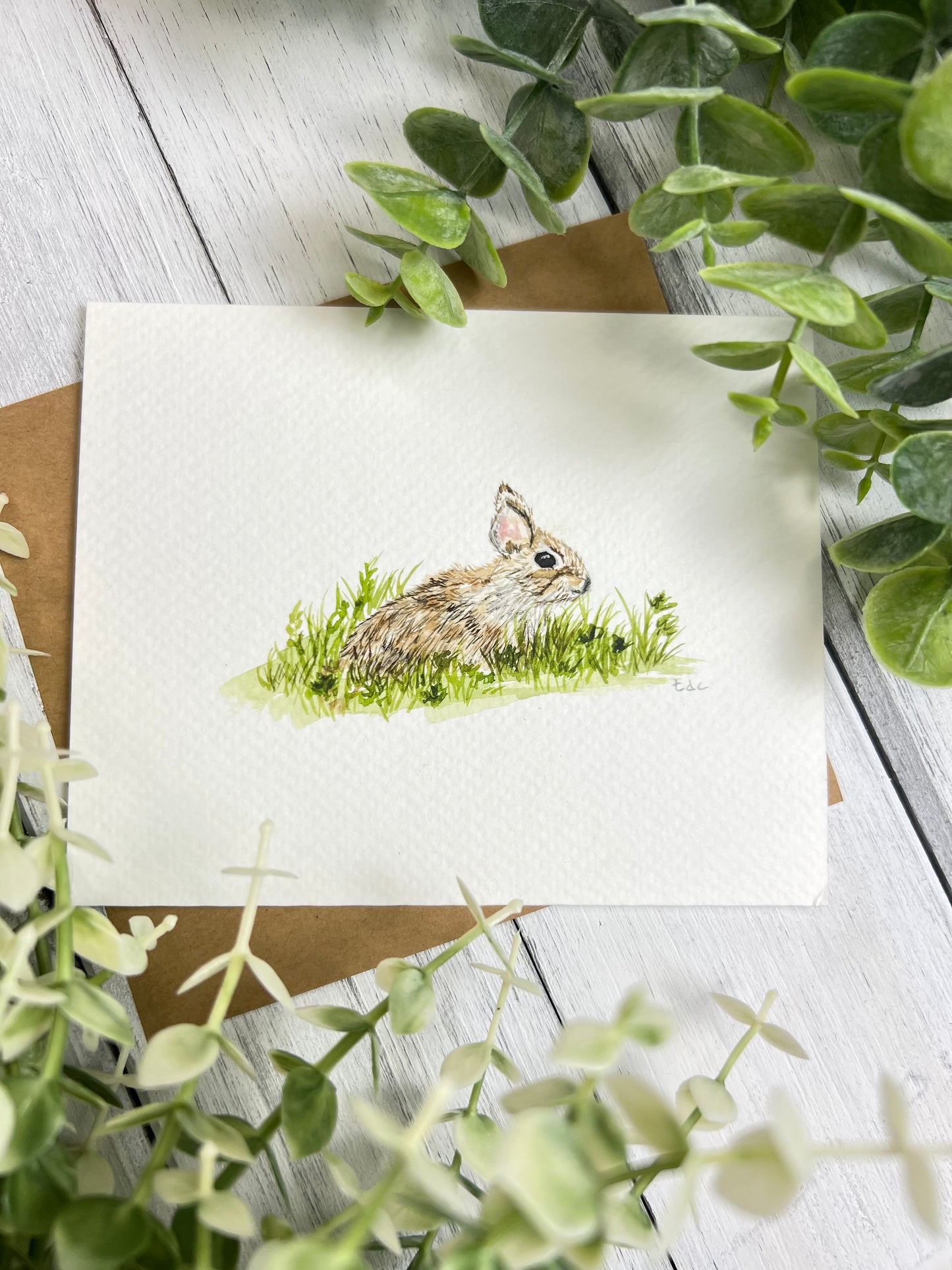 "Rabbit" - Original Watercolor Framed Art