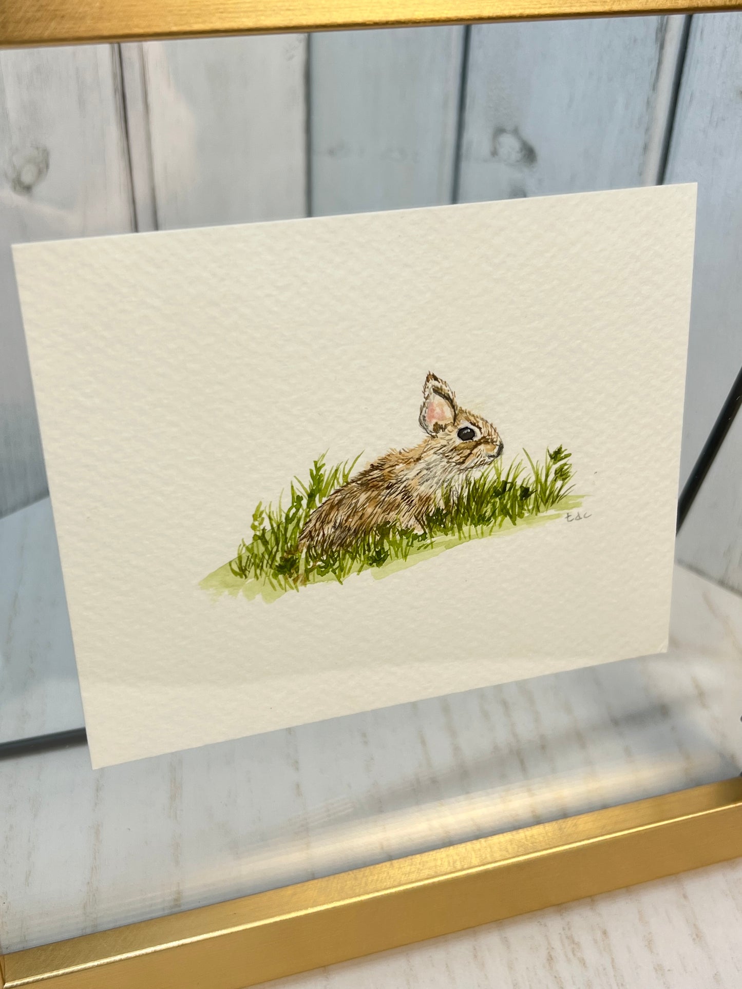 "Rabbit" - Original Watercolor Framed Art