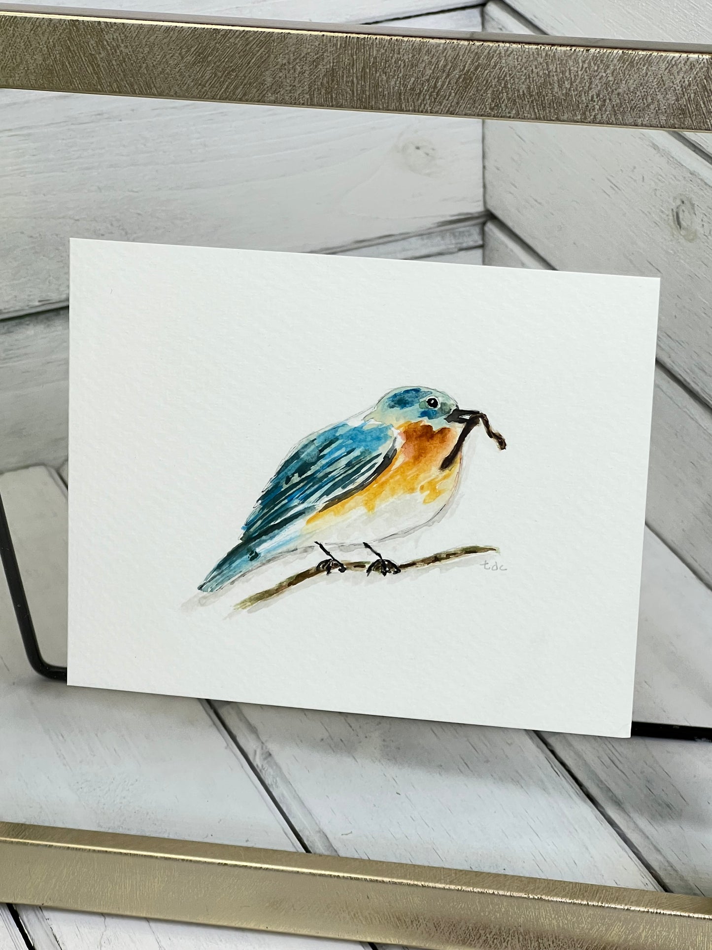"Bird on a Branch" - Original Watercolor Framed Art
