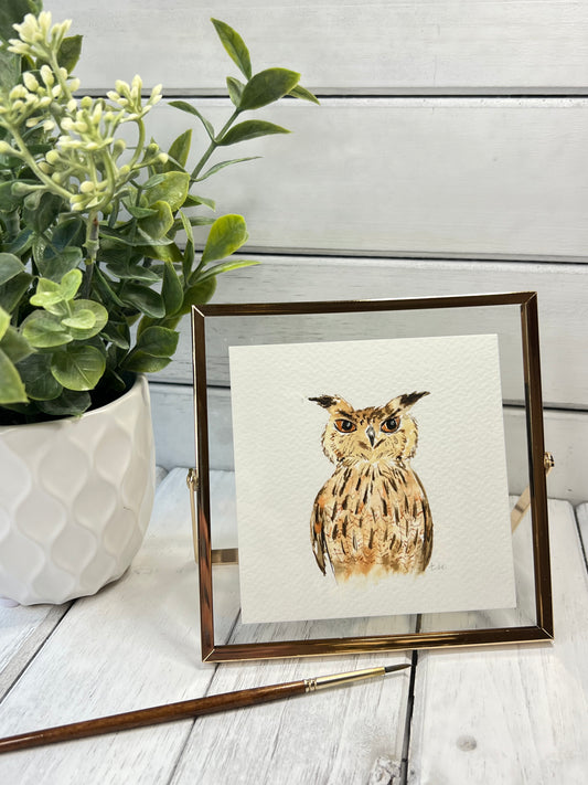 "Owl" - Original Watercolor Framed Art