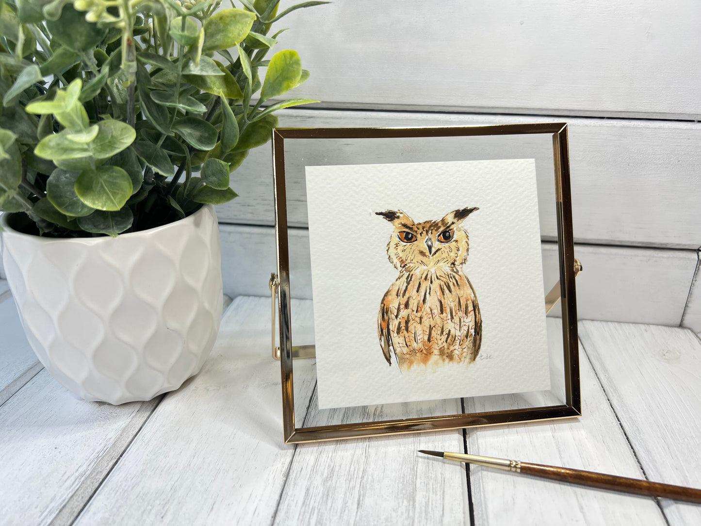 "Owl" - Original Watercolor Framed Art
