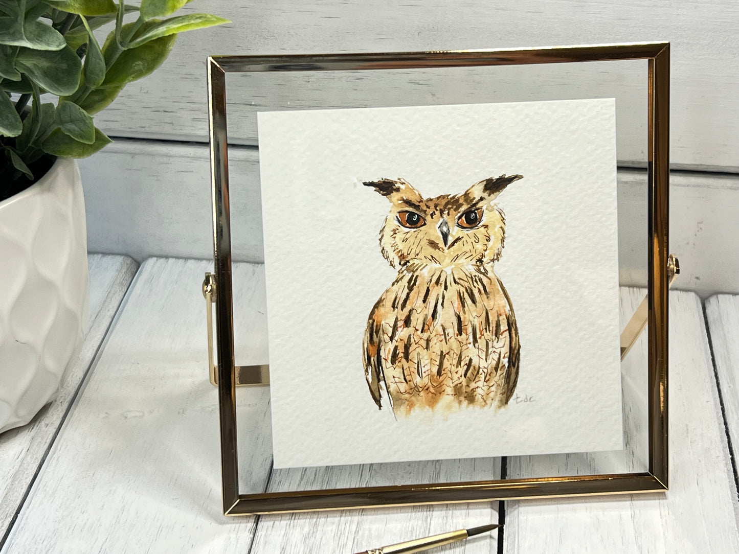 "Owl" - Original Watercolor Framed Art