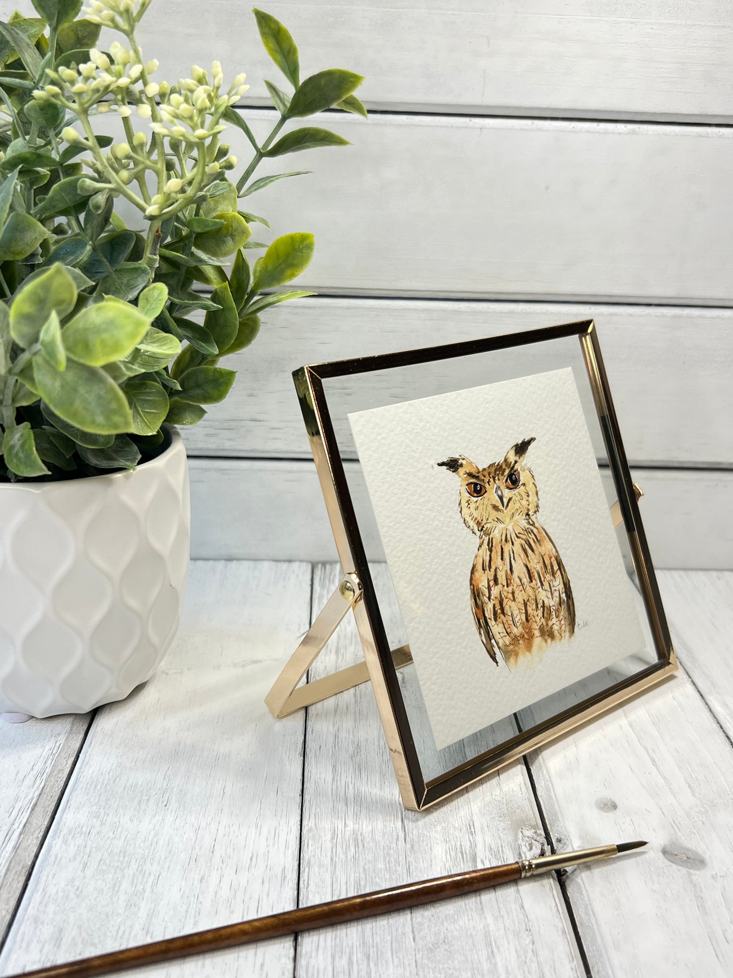 "Owl" - Original Watercolor Framed Art
