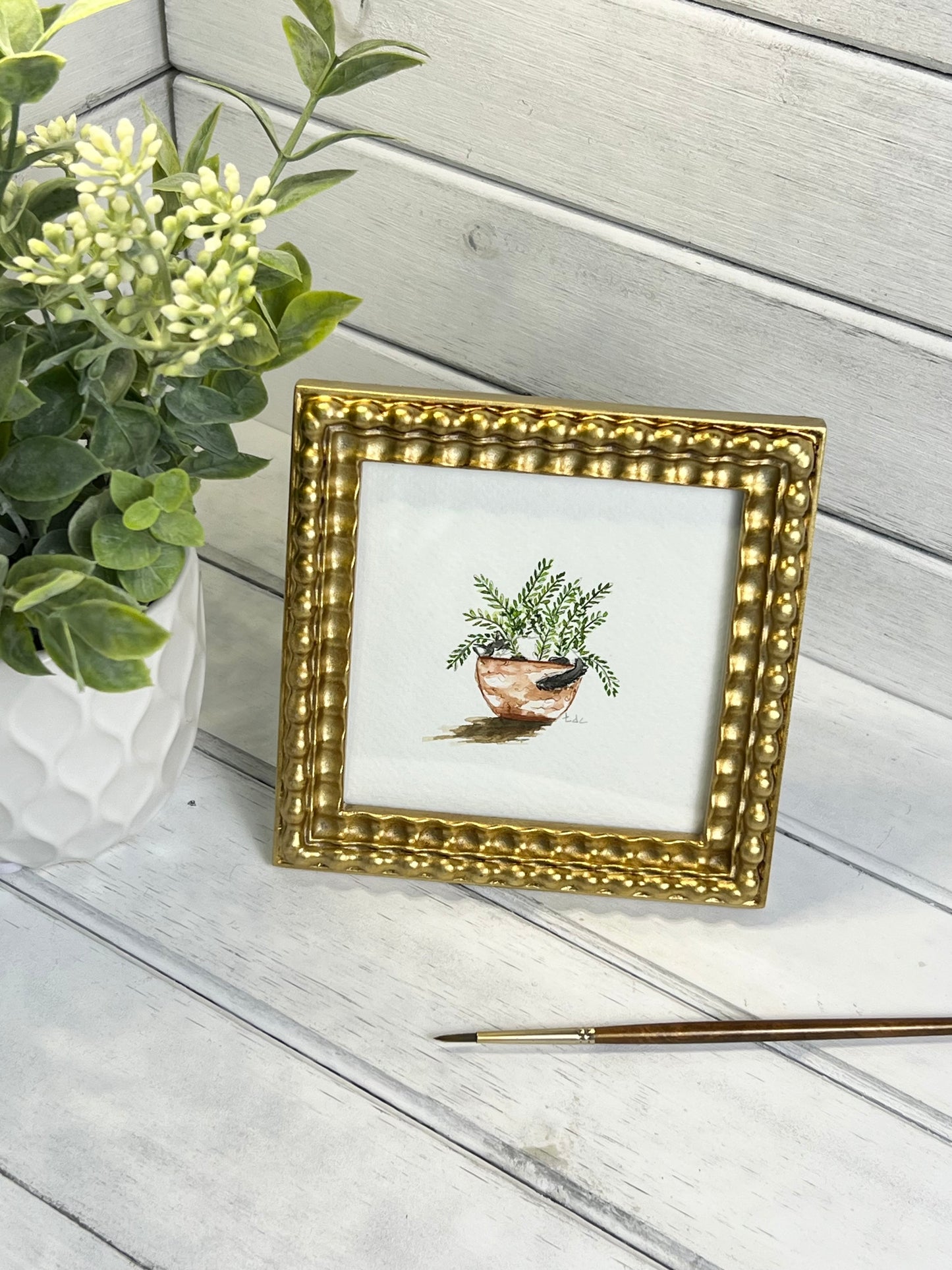 "Cat Napping in Fern" - Original Watercolor Framed Art