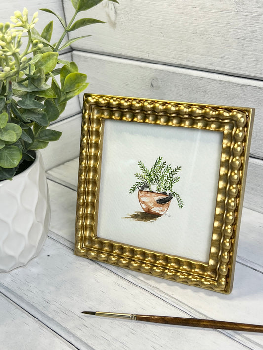 "Cat Napping in Fern" - Original Watercolor Framed Art