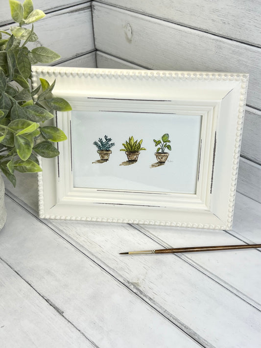 "Three House Plants" - Original Watercolor Framed Art