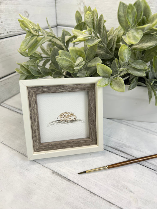 "Hedgehog" - Original Watercolor Framed Art
