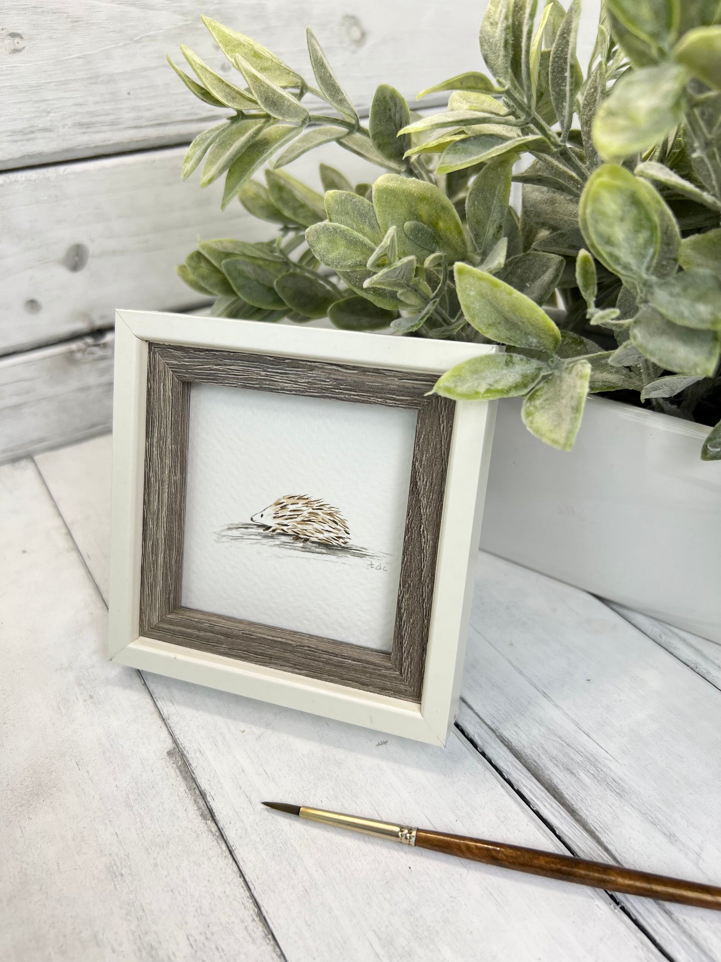 "Hedgehog" - Original Watercolor Framed Art