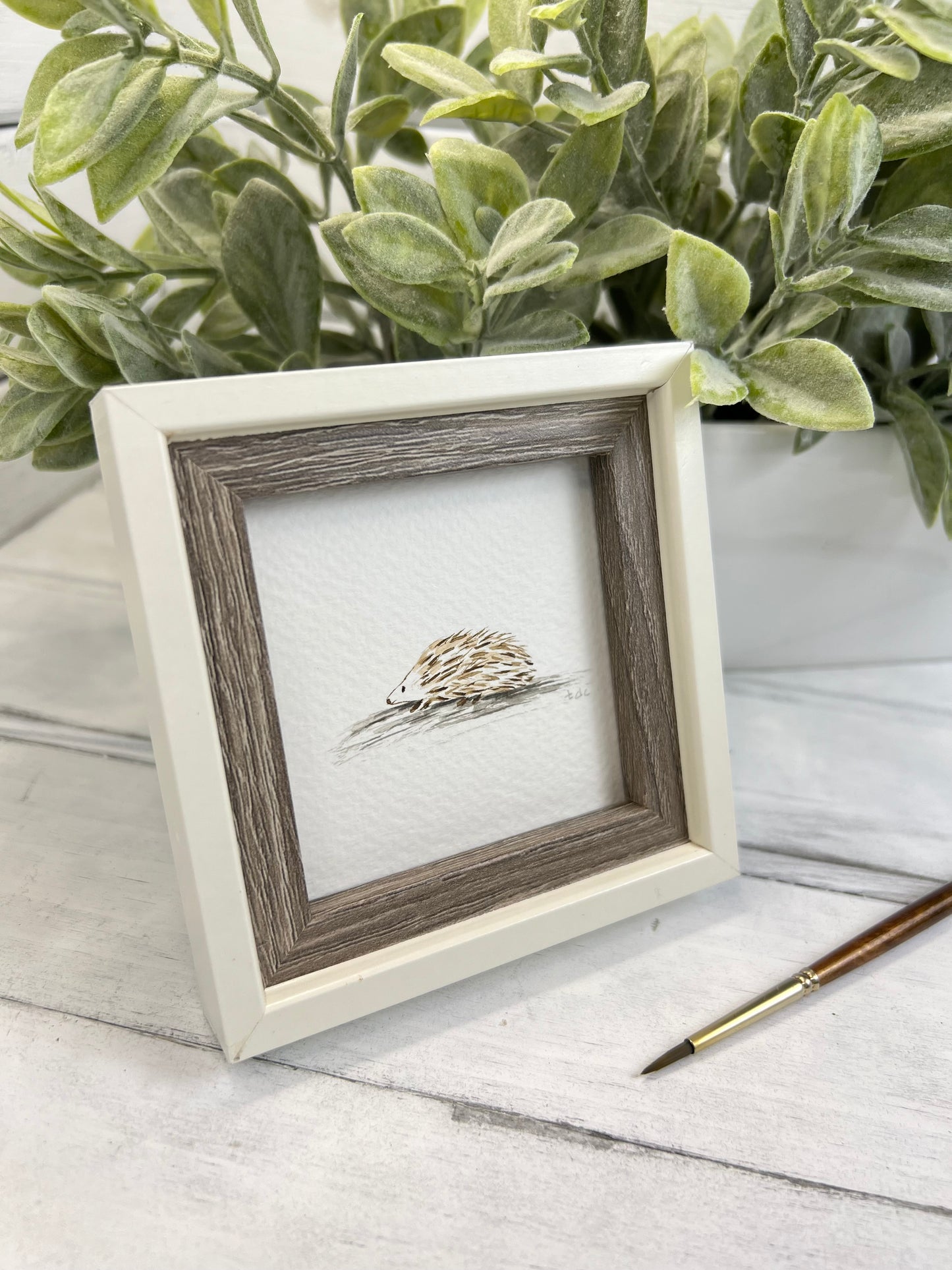 "Hedgehog" - Original Watercolor Framed Art