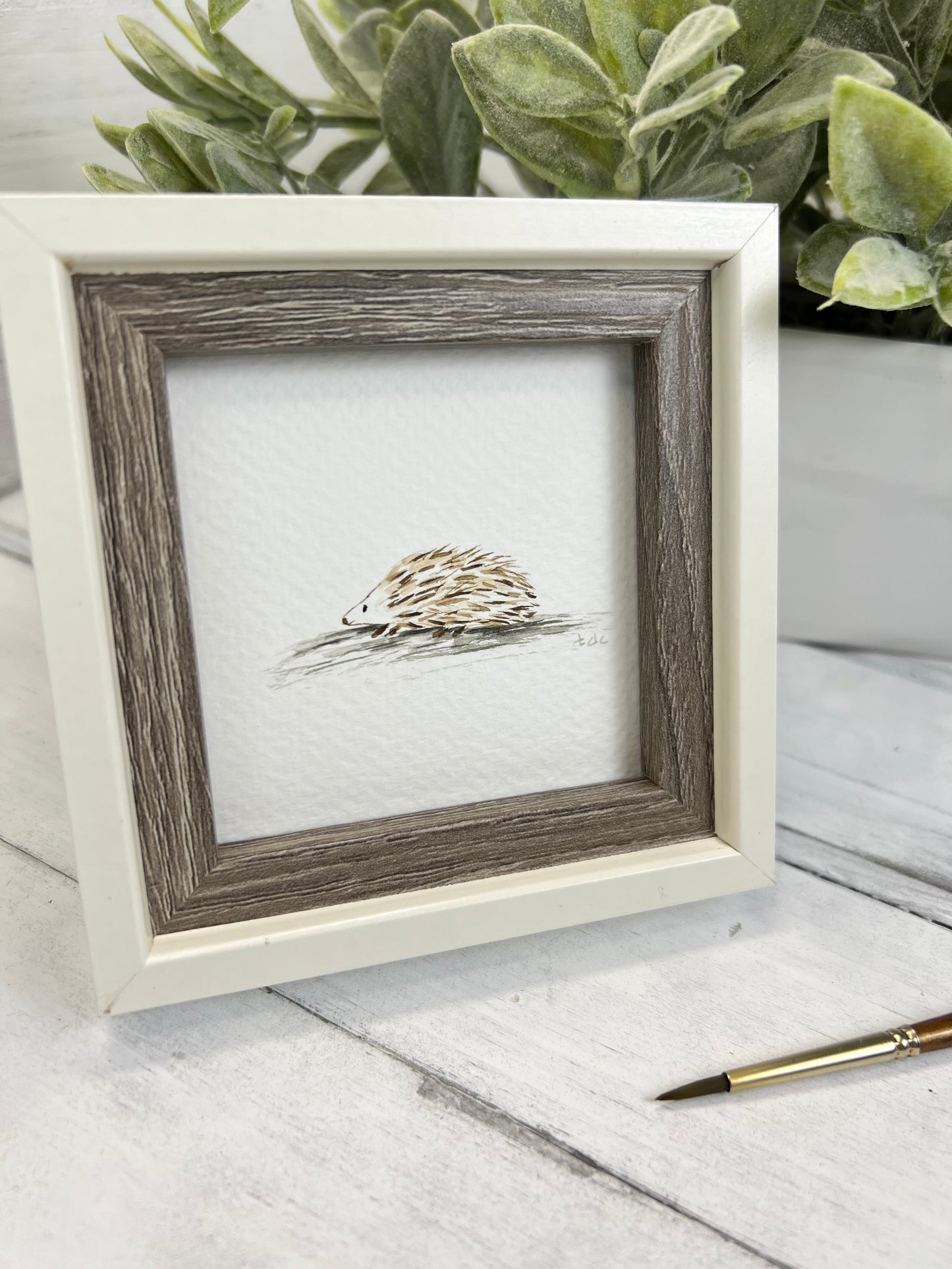 "Hedgehog" - Original Watercolor Framed Art