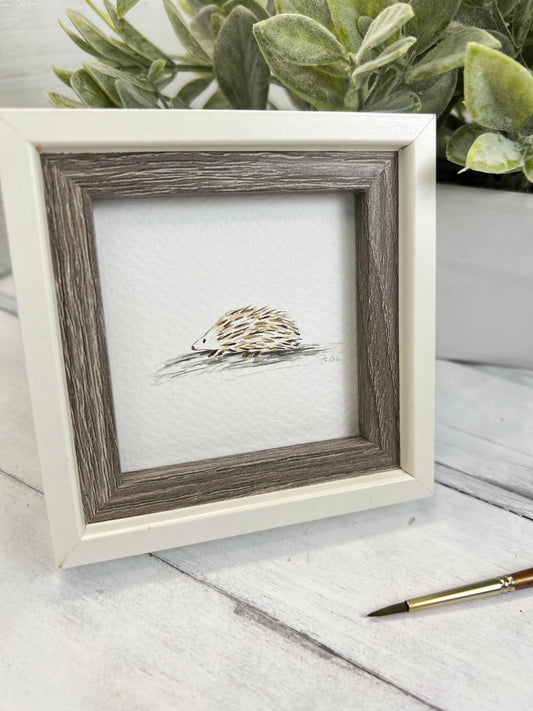 "Hedgehog" - Hand Painted Watercolor Framed Art