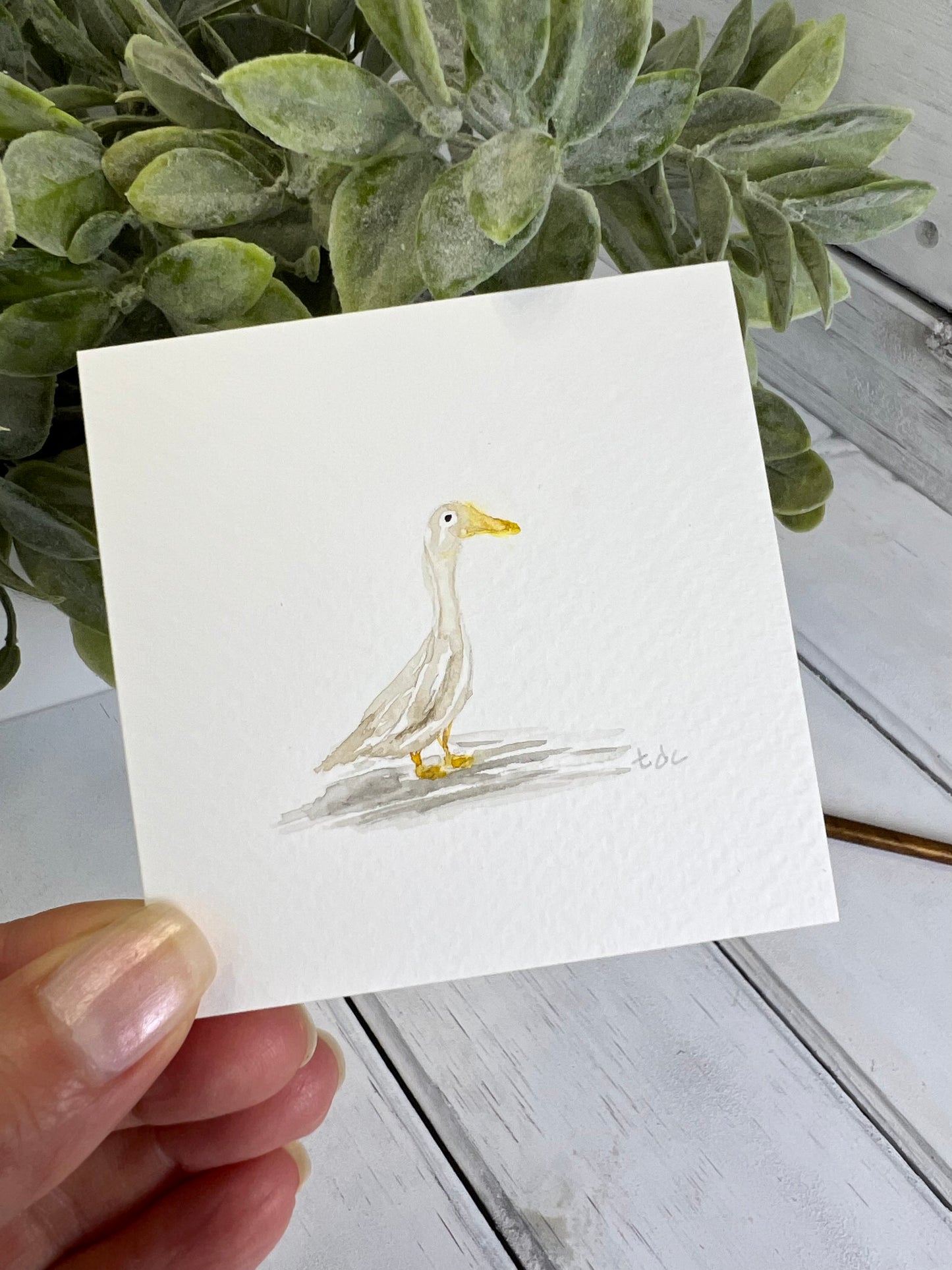 "Duck" - Original Watercolor Framed Art