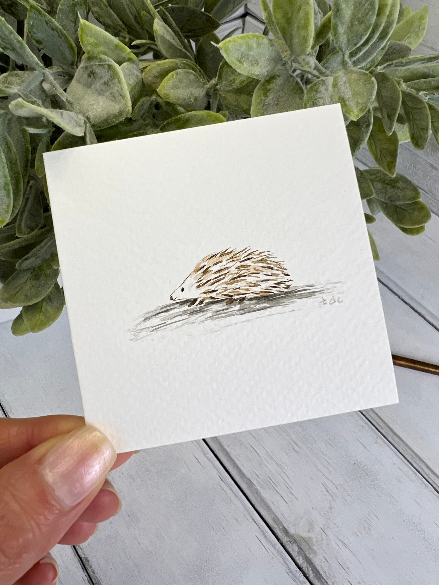 "Hedgehog" - Original Watercolor Framed Art