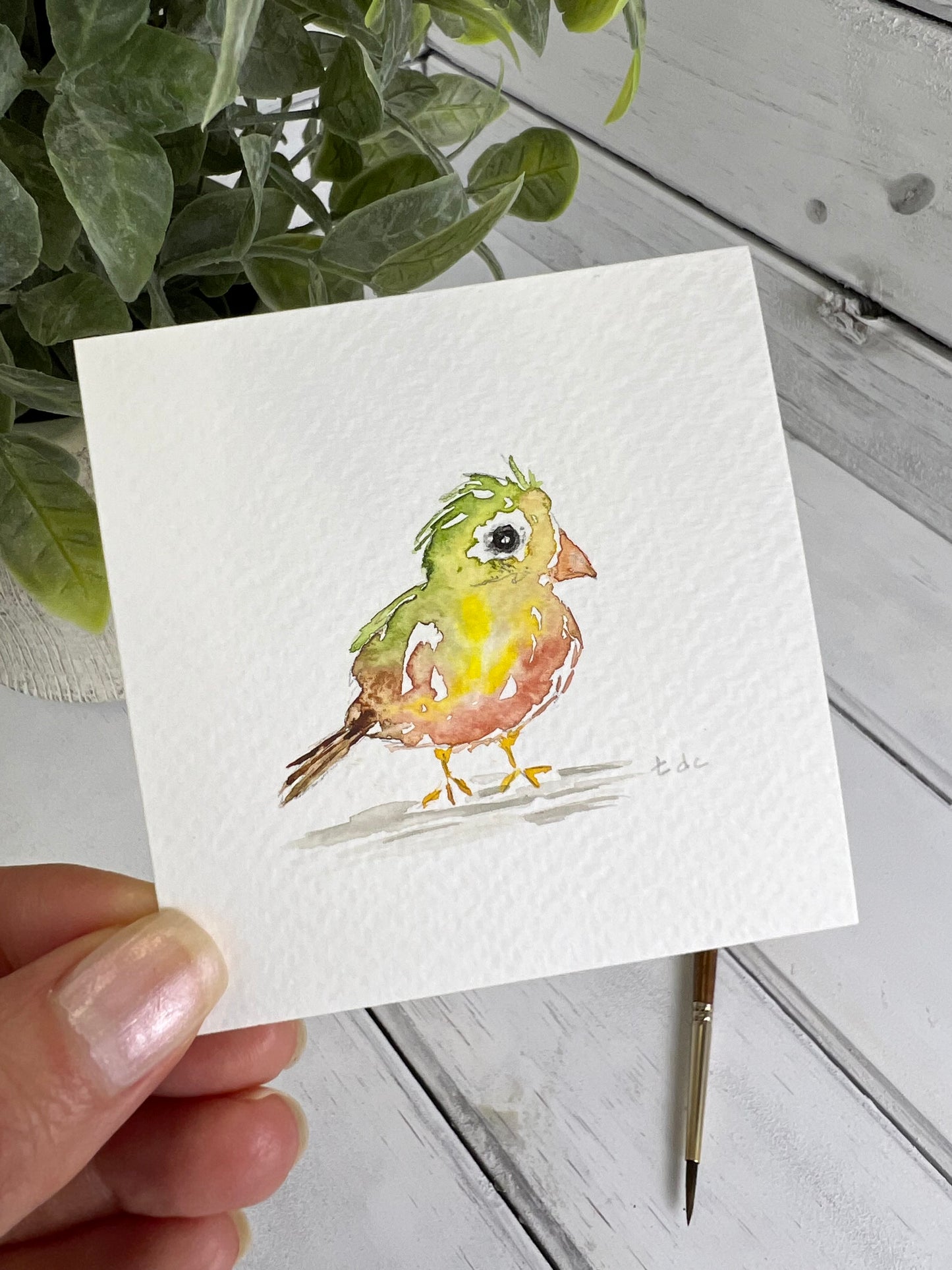 "Tropical Bird" - Original Watercolor Framed Art