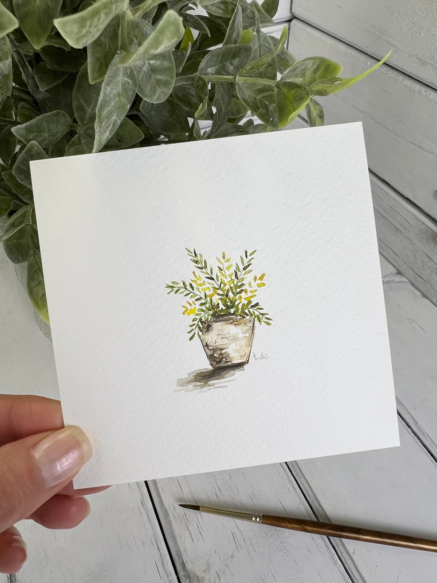 "Fern House Plant" - Original Watercolor Framed Art