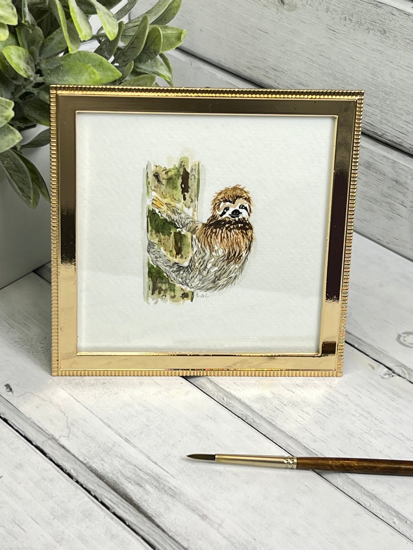 "Sloth" - Original Watercolor Framed Art