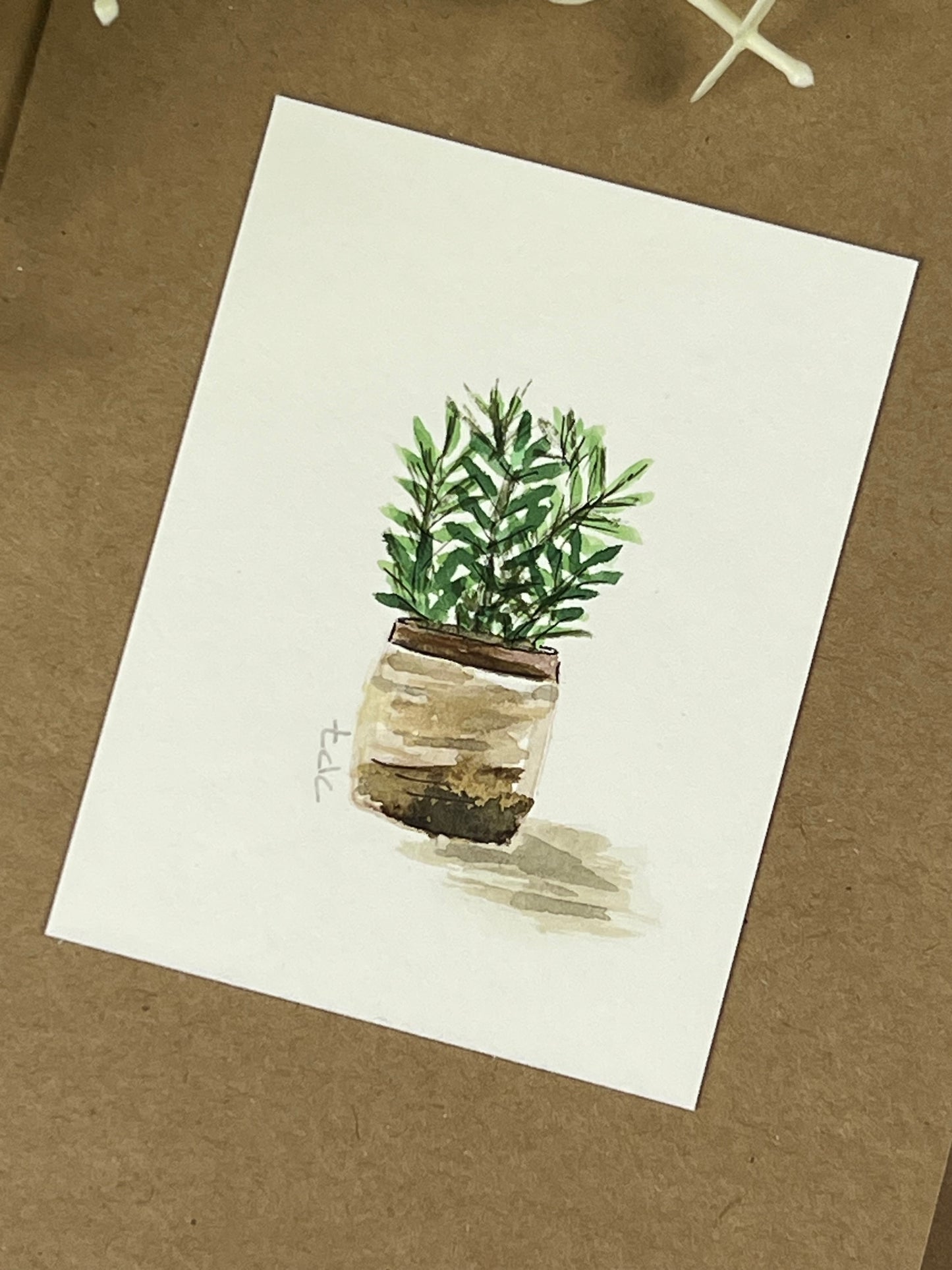 "House Plant" - Hand Painted Watercolor Greeting Card