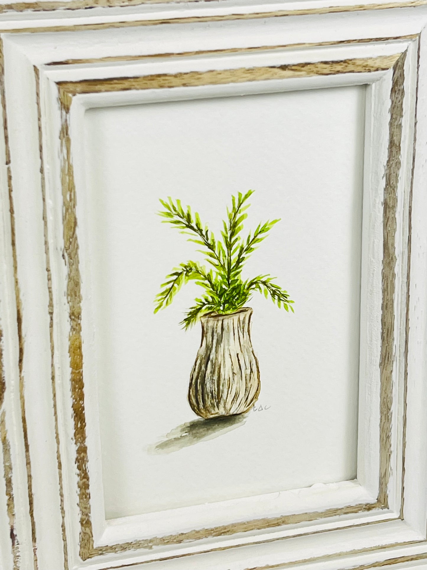 "House Fern" - Original Watercolor Framed Art