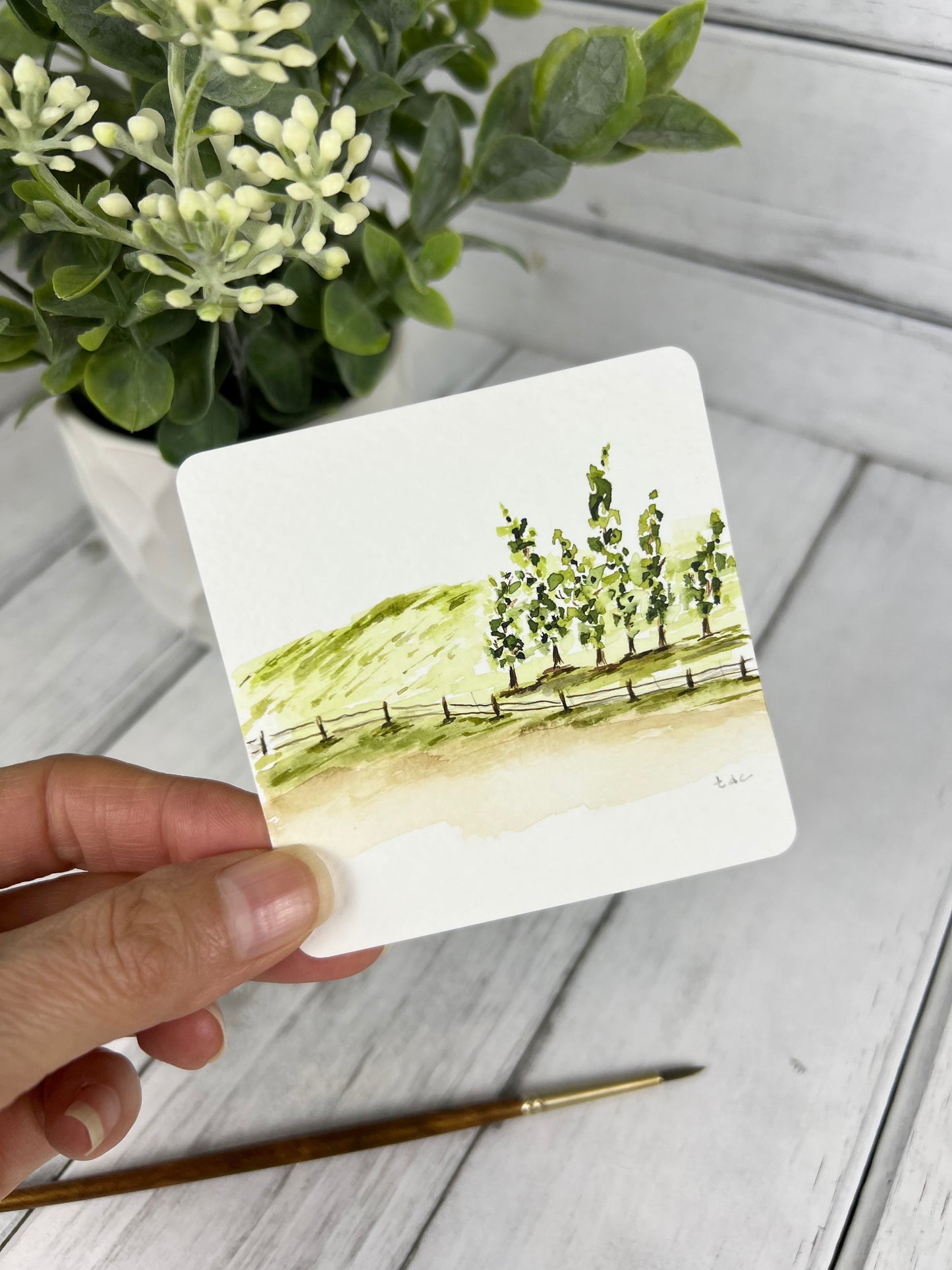 "Split Rail Fence" - Hand Painted Watercolor Framed Art